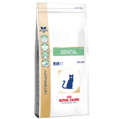 royal-canin-dental-cat