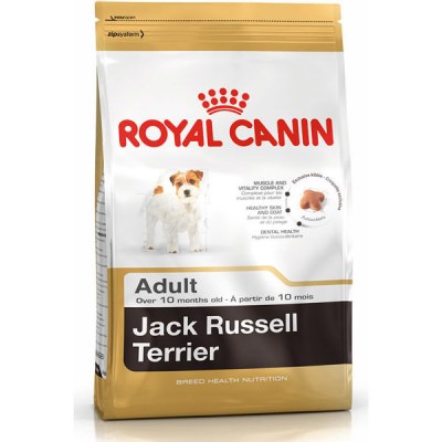 royal-canin-jack-russel
