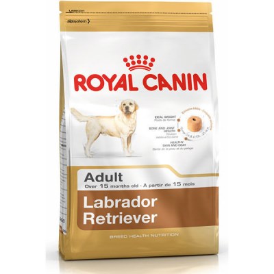 royal-canin-labrador-retriever