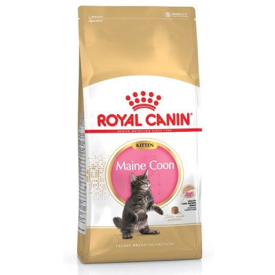 royal-canin-maine-coon-kitten