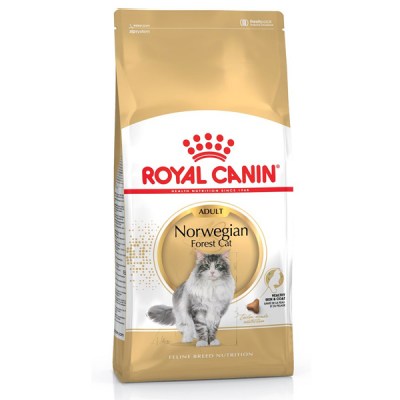 royal-canin-norwegian-forest-cat